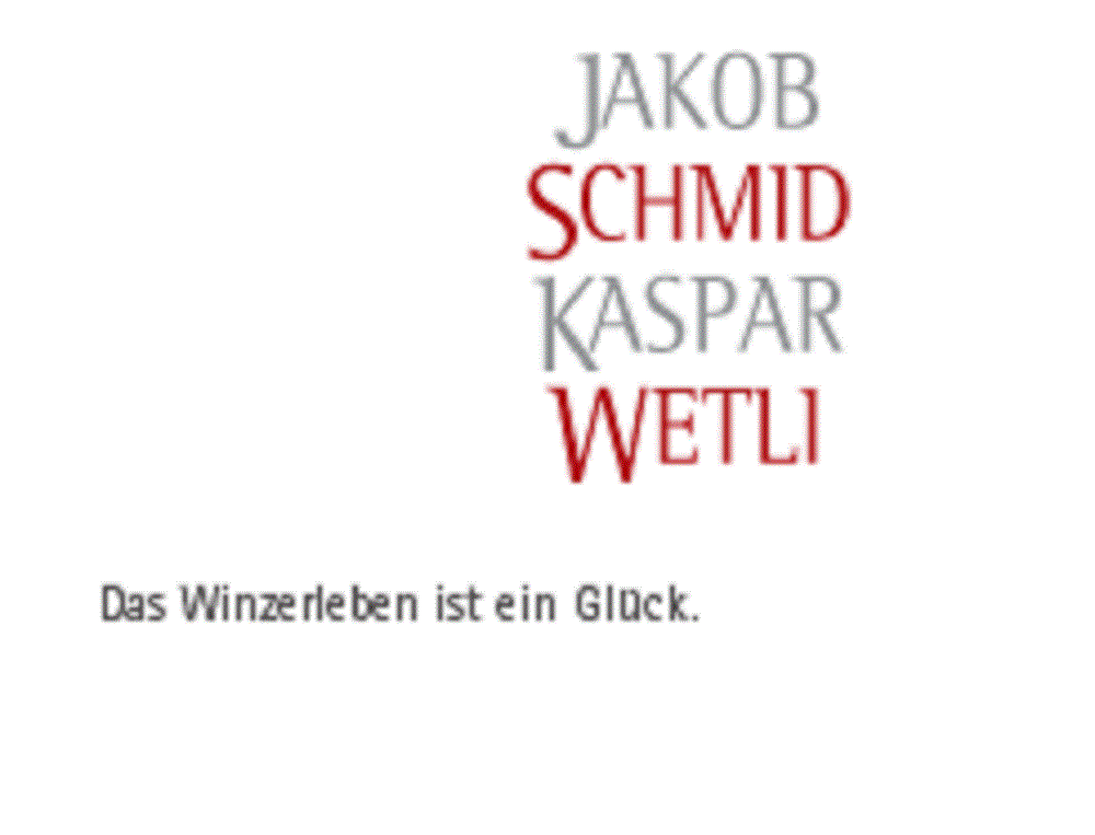 Logo Schmid Welti AG.gif